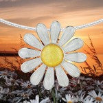Charitable Daisies for Children