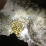 Cononish Scottish Gold