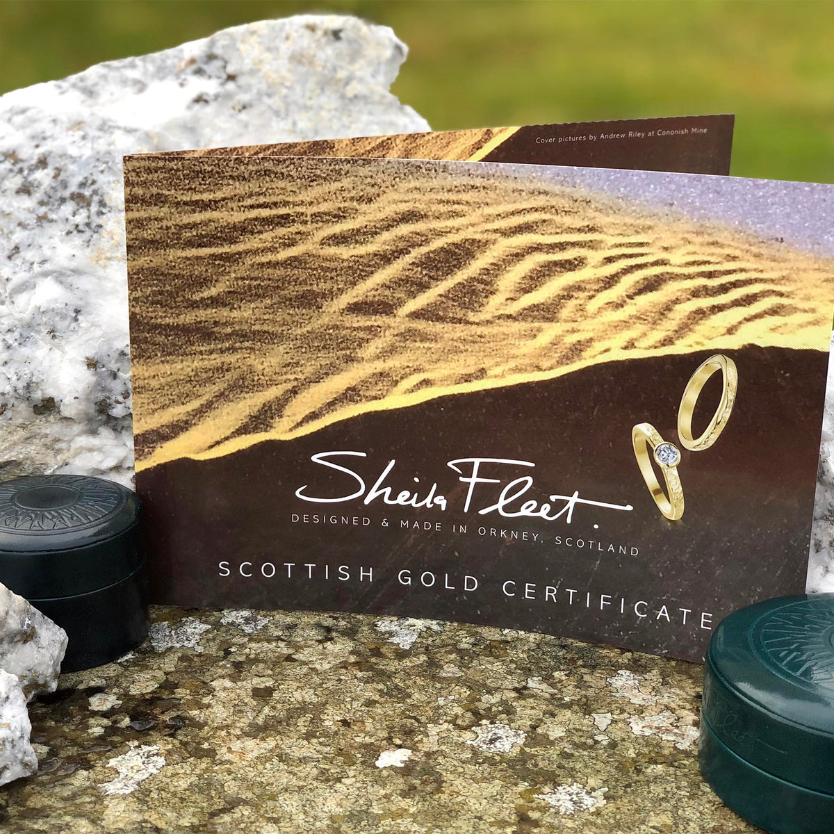 Ogham 4mm Oval Court Ring in 18ct White Scottish Gold