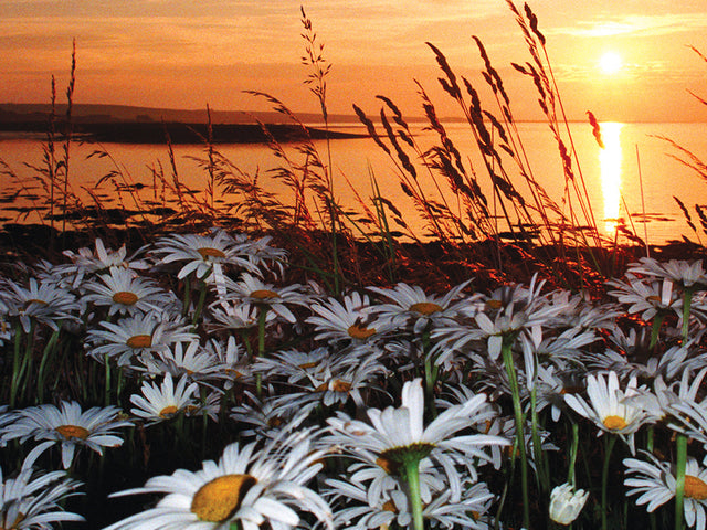 We've hit £100k in donations!