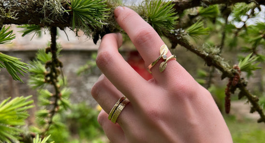 Our Autumn Favourites!