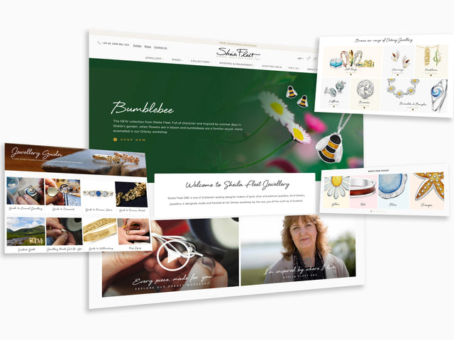 Our New Website is Live