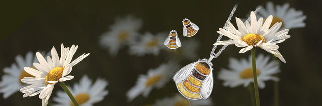 We supported the Bumblebee Conservation Trust