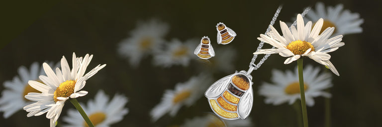 We supported the Bumblebee Conservation Trust