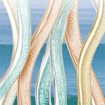 Jenners Windows 2017