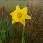 How we celebrate Easter Weekend at Sheila Fleet Jewellery