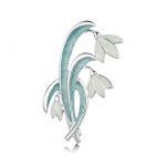 Sheila’s Snowdrop Collection