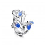 New Bluebell Collection