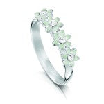 New Coloured and Diamond Daisies!