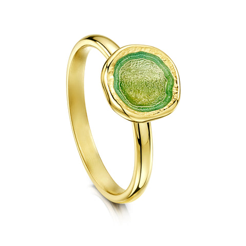 Lunar Petite Ring in 18ct Yellow Gold & Shallows Enamel by Sheila Fleet Jewellery