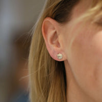 Scallop Petite Stud Earrings in 9ct Yellow Gold