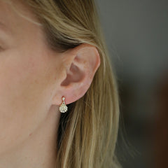 Scallop Petite Drop Earrings in 9ct Yellow Gold