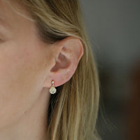 Scallop Petite Drop Earrings in 9ct Yellow Gold