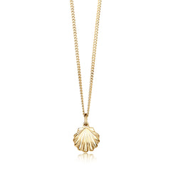 Scallop Petite Pendant in 9ct Yellow Gold by Sheila Fleet Jewellery
