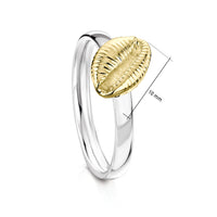 Groatie Buckie Large Shell Ring in Silver & 9ct Yellow Gold by Sheila Fleet Jewellery