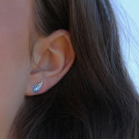 Mussel Stud Earrings in Mussel Blue Enamel by Sheila Fleet Jewellery
