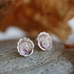 Scallop Stud Earrings in Champagne Enamel by Sheila Fleet Jewellery