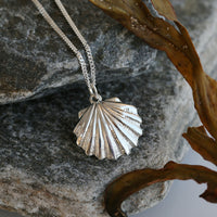 Scallop Small Pendant in Scallop Pink Enamel by Sheila Fleet Jewellery