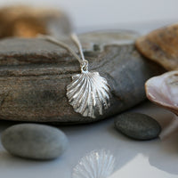 Scallop Medium Pendant in Champagne Enamel by Sheila Fleet Jewellery