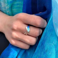 Dolphin Sterling Silver Ring in Ocean Enamel by Sheila Fleet Jewellery