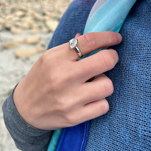 Groatie Buckie Large Shell Ring in Sterling Silver by Sheila Fleet Jewellery