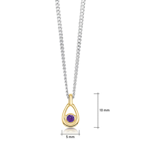 Amethyst Birthstone Petite Droplet Pendant in Silver & 9ct Yellow Gold by Sheila Fleet Jewellery