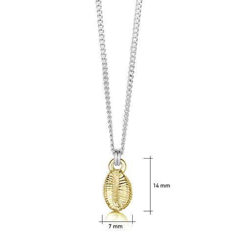 Groatie Buckie Pendant in Silver & 9ct Yellow Gold by Sheila Fleet Jewellery