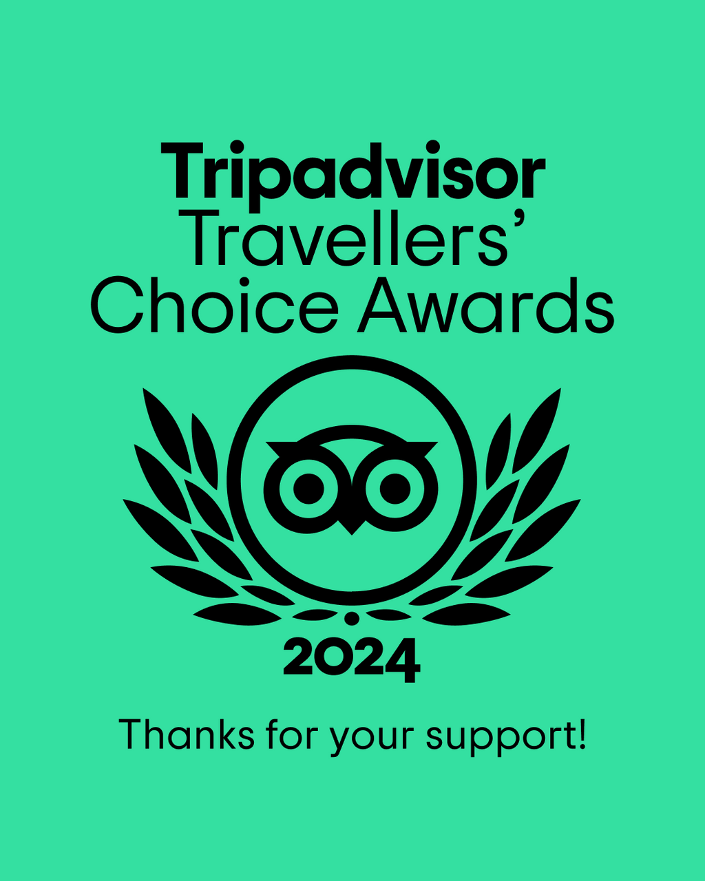 Tripadvisor Travellers' Choice Award 2024