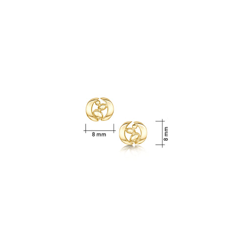Captivate Small Stud Earrings in 9ct Yellow Gold