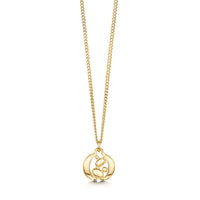 Captivate Small Pendant Necklace in Classic 9ct Yellow Gold by Sheila Fleet Jewellery