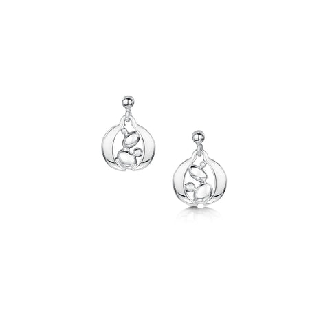 Captivate Small Drop Earrings in Sterling Silver by Sheila Fleet Jewellery