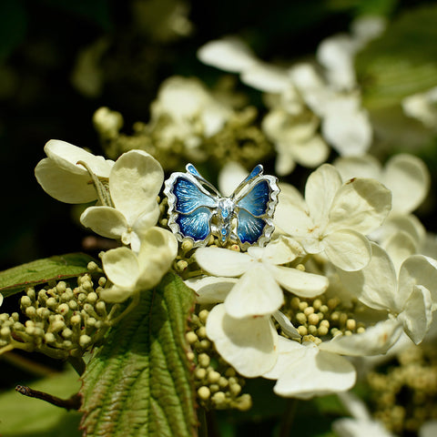 Holly Blue Butterfly Enamel Cocktail Ring by Sheila Fleet Jewellery